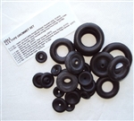 Jaguar 4.2 E-Type Grommet Set