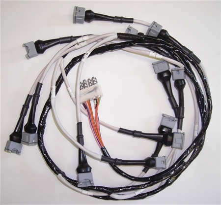 1984 - On; Series 3, XJ12 Injection Harness (XJ2312)