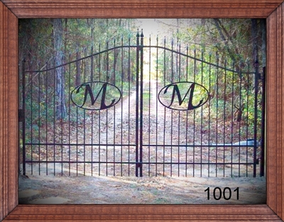 Driveway Gate 1001