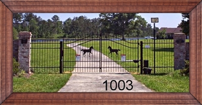 Driveway Gate 1003