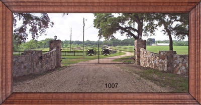 Driveway Gate 1007