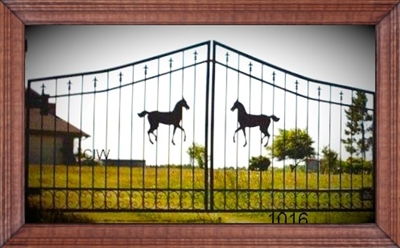 Driveway Gate 1016