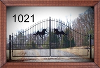 Driveway Gate 1021