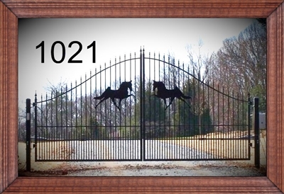 Driveway Gate 1021