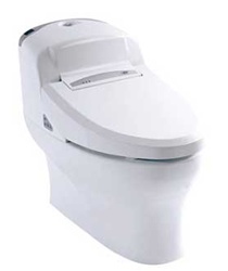 Renaissance Bidet Model 5000