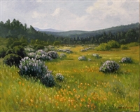 "Springtime, Point Reyes", California Landscape Oil Painting by Armand Cabrera