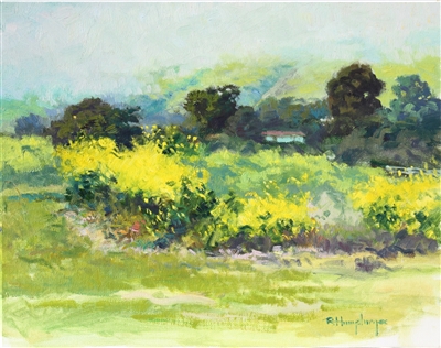 "Wild Mustard & Fog", Richard Humphrey Oil Painting