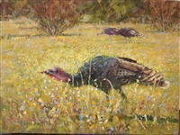 "Wild Turkey", Frank LaLumia Oil Painting