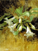"Datura", Botanical Giclee by Sherry Loehr