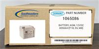 Tennant OEM Part # 1065086 Battery, Agm, 12Vdc 0050Ah [T1B, S5, Mk]