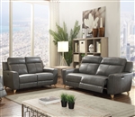 Cayden 2 Piece Power Motion Sofa Set in Gray Leather-Aire Match Finish by Acme - 54200-S