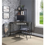 Deliz Executive Home Office Desk in Sand Gray Finish by Acme - 92620