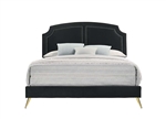 Zeena Bed in Black Velvet Finish by Acme - BD01176Q