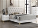 Kendall White Leatherette Upholstered Bed in White Finish by Coaster - 224401Q