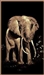 African Elephant 5 x 8 Rug by CTC - CTC-AF-Elephant-1