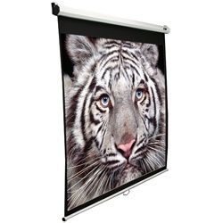 Elite Manual Series 50x67 (84 Diag.) Pull down Projector Screen, Video Format, Matte White Fabric