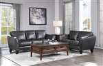 Spivey 2 Piece Sofa Set in Dark Gray by Home Elegance - HEL-9460DG