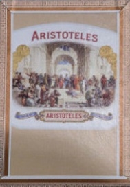 Curivari Aristoteles 548 - 5 x 48 (Single Stick)