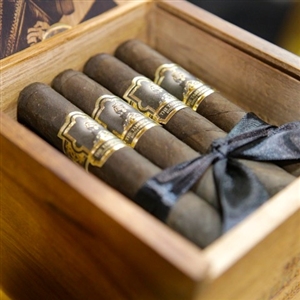 The Tabernacle Toro (24/Box)