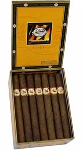 Tatiana Honey Dolce (5 Pack)