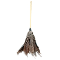 Economy Ostrich Feather Dusters