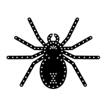 PRODUCT PHOTO: Spider PRODUCT PHOTO: Spider