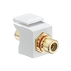 LEVITON 40830-BWR QUICKPORT RCA SPEAKER JACK WHT WITH RED   STRIPE *CLEARANCE*