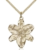 Gold Filled Chastity Pendant, Gold Filled Lite Curb Chain, 7/8" x 3/4"