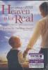 Heaven is for Real DVD
