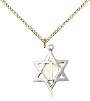 Two-Tone SS/GF Star of David Pendant, Gold Filled Lite Curb Chain, 7/8" x 5/8"