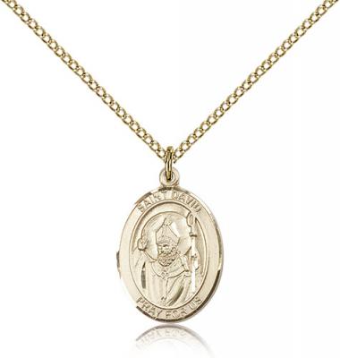 Gold Filled St. David of Wales Pendant, Gold Filled Lite Curb Chain, Medium Size Catholic Medal, 3/4" x 1/2"