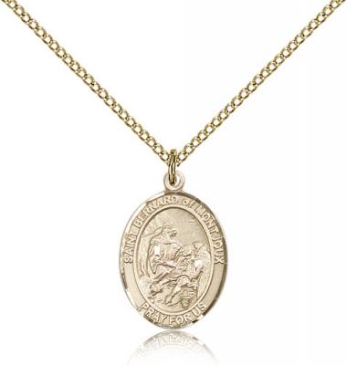 Gold Filled St. Bernard of Montjoux Pendant, Gold Filled Lite Curb Chain, Medium Size Catholic Medal, 3/4" x 1/2"