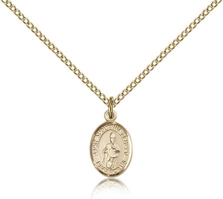 Gold Filled St. Augustine of Hippo Pendant, Gold Filled Lite Curb Chain, Small Size Catholic Medal, 1/2" x 1/4"
