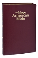 New American Bible Gift and Award Edition Burgundy Cover
