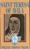 Saint Teresa of Avila by William Thomas Walsh, paperback 592 pages