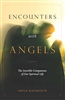 Encounters with Angels by Odile Haumonte