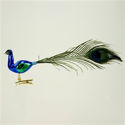 Glass Peacock Ornaments - Poles traditionally decorate their Christmas trees with ornaments of birds. The peacock is a favorite. Although not made in Poland these glass clip-on ornaments are nicely detailed and feature tails made of real peacock feathers.