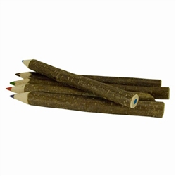 Natural Twig Crayon