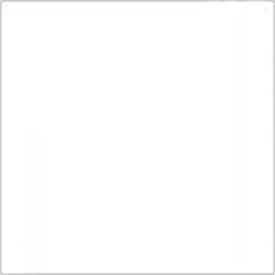 Polish Scrapbook Paper - White