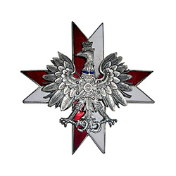 Issued after 1920.  Established in 1915 in Warsaw, Petkow, Wolbrom.  Two piece construction, white and red enameled cross with silver crowned eagle superimposed in the center.  Mini Order of the Virtuti Militari on the chest of the eagle.