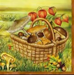 Polish Mushroom Luncheon Napkins (package of 20)  Three ply napkins with water based paints used in the printing process.