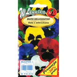 Pansy's mixture producing large flowers in a wide range of white, yellow, red and blue shades with blotch on the bottom petals. Ideal for decorating flowerbeds, containers and balconies.