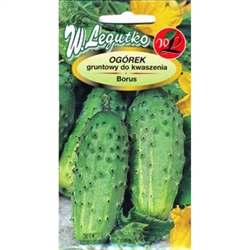Cucumber Borus is a medium-early, prolific variety recommended to outdoor growing. Produces slender, green skinned fruit with small seed chamber. Ideal as whole or sliced, suit for pickling. Borus is resistant to cucurbit scab and tolerant of downy mildew