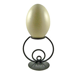 Perfect size and weight stand to display a rhea or very large goose egg.  The rhea egg in this picture is approximately 5.5" - 14cm tall and 4" - 10cm wide.