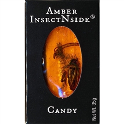 Amber InsectNside (Amber Brittle), is a ribbon style toffee flavored candy with insects and fern trapped inside. Looks like fossilized amber.  Kids love this item.  They have more fun looking at it than anything!