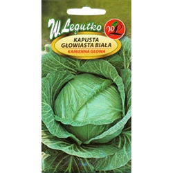 Late variety, number of days from planting to harvest comes to 130-150  
Heads are big, up to 3-6kg, compact and round.  Kamienna Glowa has the right proportion of sugar to acids, which highly influence the taste of great sauerkraut.