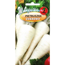 Parsnip - Pietruszka Cukrowa - Petroselinum crispum
Very popular among gardeners, short and conical root, Imported from Poland.