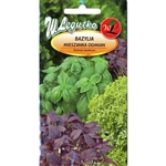 Extraordinary mixture of different Basil varieties. Individually attractive and unique in appearance - from frilly spice to plain leaved spice. Together they offer a symphony of flavors to tantalize your taste buds in salads, cooking and garnishes.