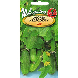 This gherkin plant shoots up to 0.5 meters (19"), so that it can be grown in small gardens and containers.
Great for salads, preserving and pickling.