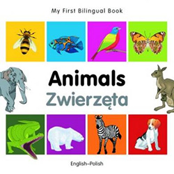 Guaranteed to enrich a toddlerï¿½s vocabulary, this simple and fun series of bilingual board books is ideal for helping children discover a foreign language combining photographs, bright illustrations, and dual-language words in clear, bold text.